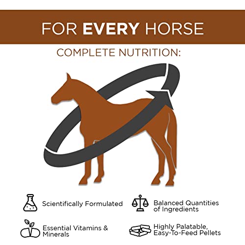 Formula 707 Daily Essentials Equine Supplement, 6lb Bucket – Complete Vitamins and Minerals for Superior Health and Condition in Horses