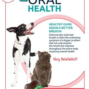 WorksSoWell 1TDC Dual Action Natural Support – 120 Twist Off Soft Gels | Delivers 4 Health Benefits for Dogs & Cats | Supports Oral, Hip & Joint Health, Muscle & Stamina Recovery, Skin & Coat Health