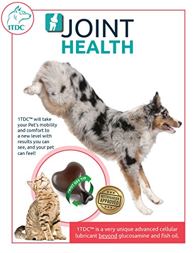 WorksSoWell 1TDC Dual Action Natural Support – 120 Twist Off Soft Gels | Delivers 4 Health Benefits for Dogs & Cats | Supports Oral, Hip & Joint Health, Muscle & Stamina Recovery, Skin & Coat Health