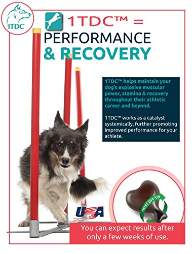 WorksSoWell 1TDC Dual Action Natural Support – 120 Twist Off Soft Gels | Delivers 4 Health Benefits for Dogs & Cats | Supports Oral, Hip & Joint Health, Muscle & Stamina Recovery, Skin & Coat Health