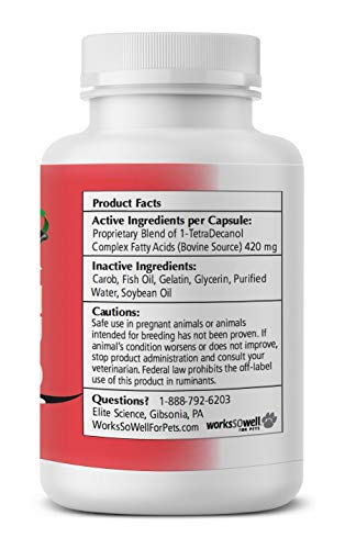 WorksSoWell 1TDC Dual Action Natural Support – 120 Twist Off Soft Gels | Delivers 4 Health Benefits for Dogs & Cats | Supports Oral, Hip & Joint Health, Muscle & Stamina Recovery, Skin & Coat Health