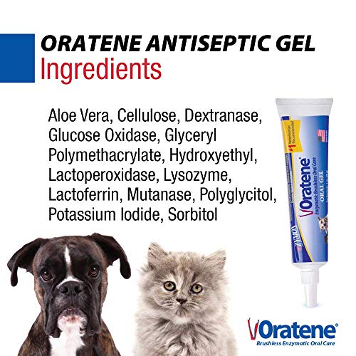 Pet King Brands ZYMOX Oratene Brushless Oral Gel for Dogs and Cats, 1oz