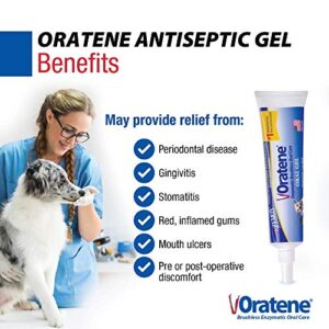 Pet King Brands ZYMOX Oratene Brushless Oral Gel for Dogs and Cats, 1oz