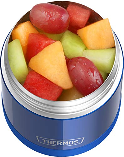 THERMOS FUNTAINER 10 Ounce Stainless Steel Vacuum Insulated Kids Food Jar, Blue