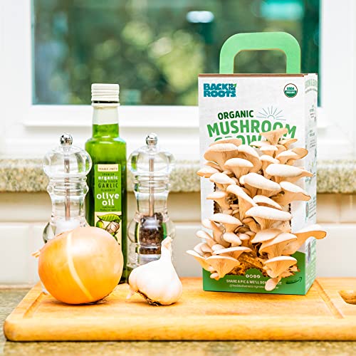 Back to the Roots Organic Oyster Mushroom Grow Kit, Harvest Gourmet Mushrooms In 10 Days