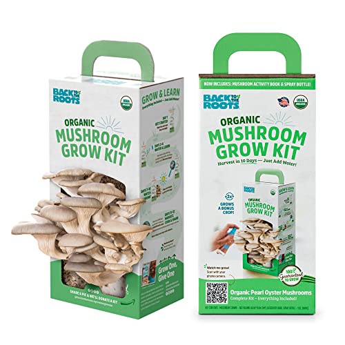 Back to the Roots Organic Oyster Mushroom Grow Kit, Harvest Gourmet Mushrooms In 10 Days