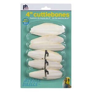 4-inch cuttlebone / 6pcs