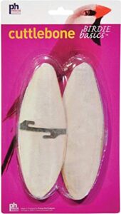 6-inch cuttlebone / 2pc