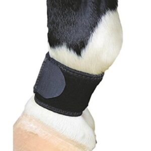 Professional's Choice VenTECH Pastern Wraps Black