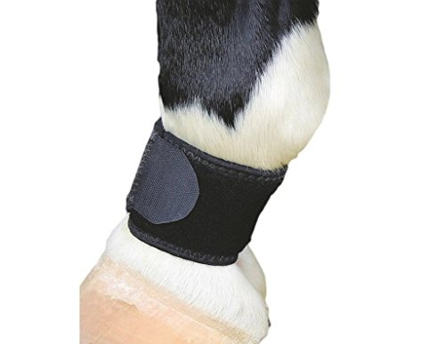 Professional's Choice VenTECH Pastern Wraps Black