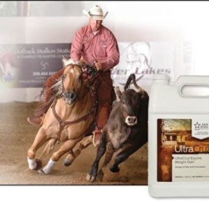 UltraCruz Equine Weight Gain Supplement for Horses, 1 Gallon, Liquid (32 Day Supply)