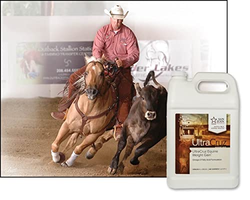 UltraCruz Equine Weight Gain Supplement for Horses, 1 Gallon, Liquid (32 Day Supply)