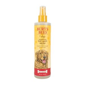 burt's bees for pets natural hot spot spray for dogs - relieves & soothes dog hot spots - made with apple cider vinegar & aloe vera - cruelty, sulfate & paraben free - made in usa, 10 oz