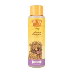 burt's bees for pets natural calming dog shampoo with lavender and green tea | cleansing lavender dog shampoo | cruelty free, sulfate & paraben free, ph balanced for dogs - made in usa, 16 oz