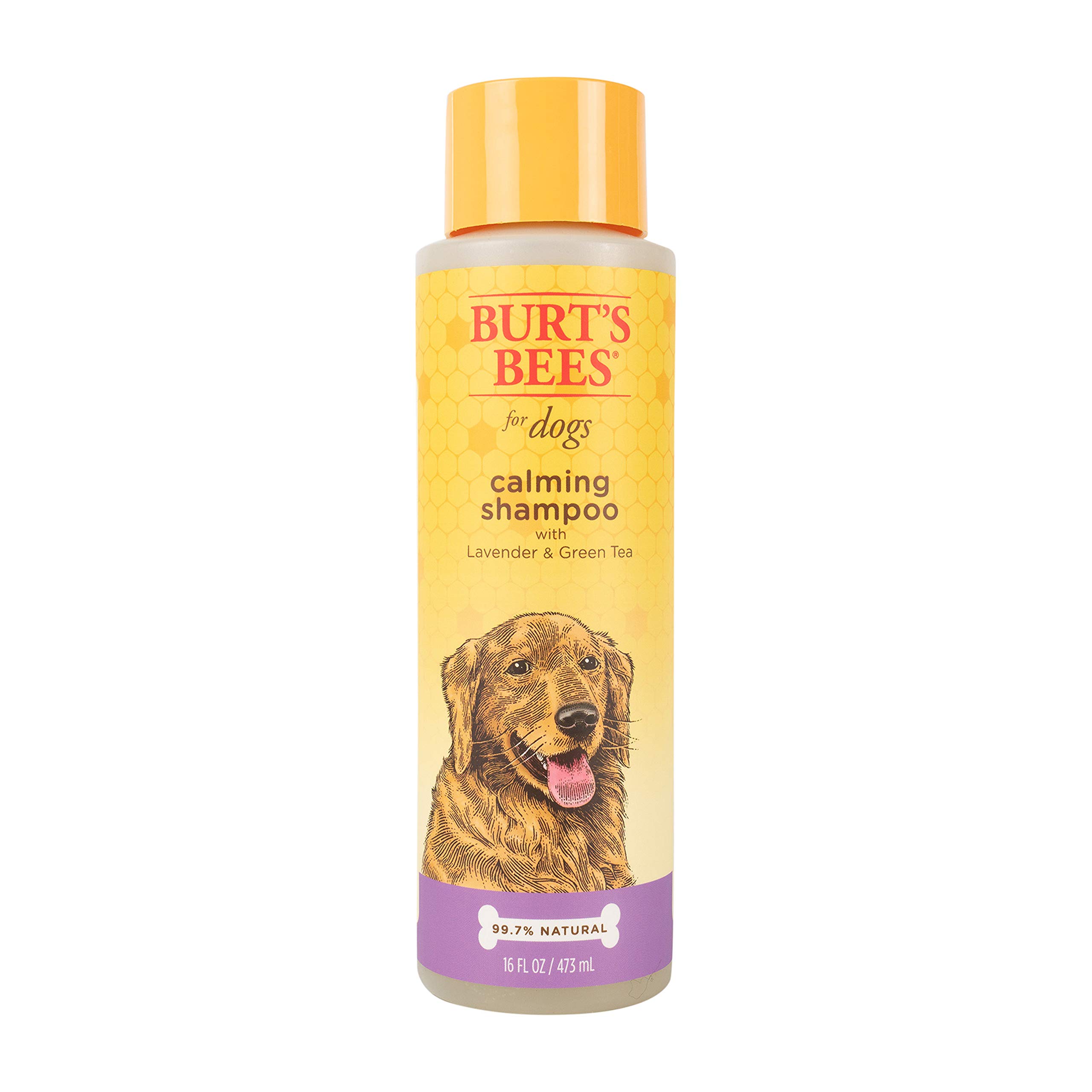 Burt's Bees for Pets Natural Calming Dog Shampoo with Lavender and Green Tea | Cleansing Lavender Dog Shampoo | Cruelty Free, Sulfate & Paraben Free, pH Balanced for Dogs - Made in USA, 16 oz