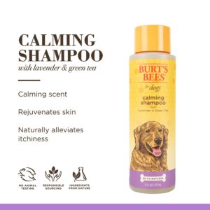 Burt's Bees for Pets Natural Calming Dog Shampoo with Lavender and Green Tea | Cleansing Lavender Dog Shampoo | Cruelty Free, Sulfate & Paraben Free, pH Balanced for Dogs - Made in USA, 16 oz