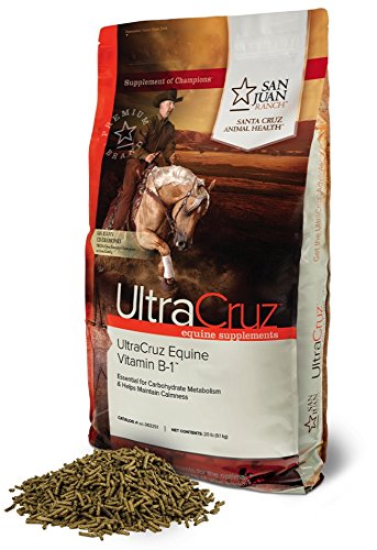 UltraCruz Equine Vitamin B-1 Supplement for Horses, 20 lb, Pellet (335 Day Supply)