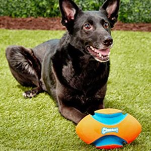 Chuckit! Fumble Fetch Dog Toy, Outdoor and Indoor Dog Toy Small