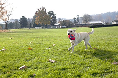 Chuckit! Fumble Fetch Dog Toy, Outdoor and Indoor Dog Toy Small