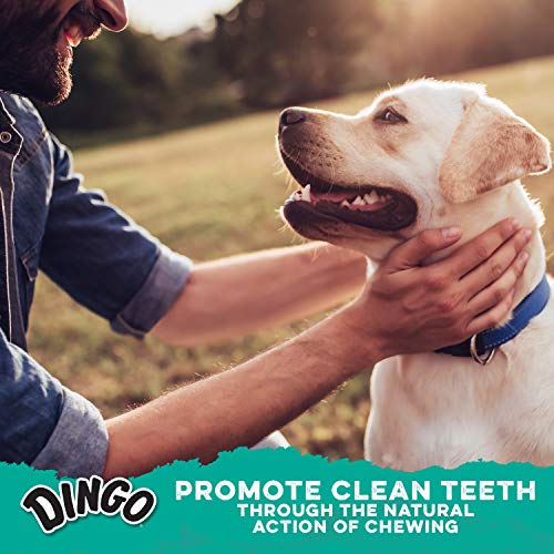 Dingo Dental Twists for Small and Medium Dogs, 35-Count