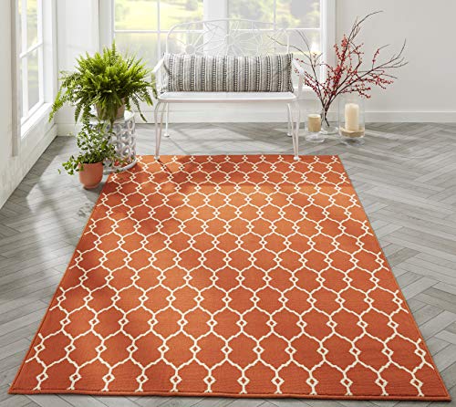 Momeni Rugs , Baja Collection Contemporary Indoor & Outdoor Area Rug, Easy to Clean, UV protected & Fade Resistant, 5'3" x 7'6", Orange