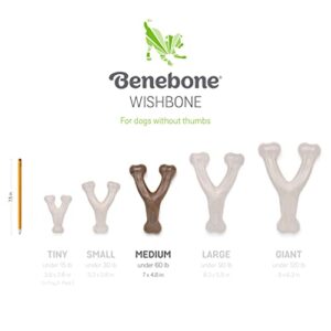 Benebone Wishbone Durable Dog Chew Toy for Aggressive Chewers, Real Bacon, Made in USA, Medium