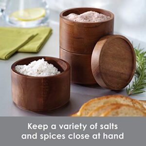 Rachael Ray Pantryware Wood Salt Cellar Stacking Set / Wood Salt Box Stacking Set3 piece, Brown