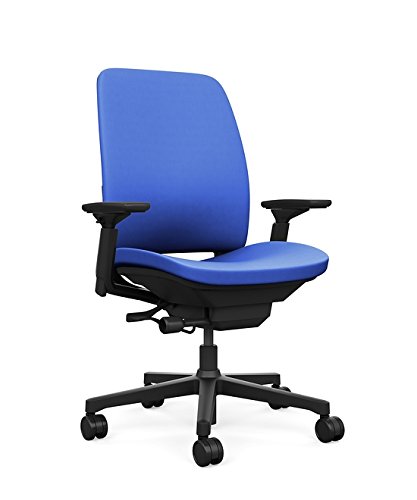 Steelcase Amia Ergonomic Office Chair with Adjustable Back Tension and Arms | Flexible Lumbar with Sliding Seat | Black Frame and Buzz2 Blue Fabric