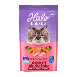 halo holistic indoor cat food dry, grain free wild-caught salmon & whitefish recipe for healthy weight support, complete digestive health, dry cat food bag, adult formula, 6-lb bag