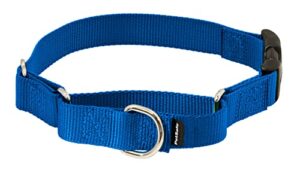 petsafe martingale collar with quick snap buckle, 1" large, royal blue