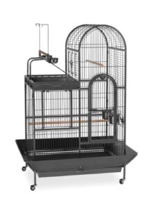 prevue pet products bpv3159 double roof bird cage with playtop, 36-1/2 by 27-1/4-inch, black