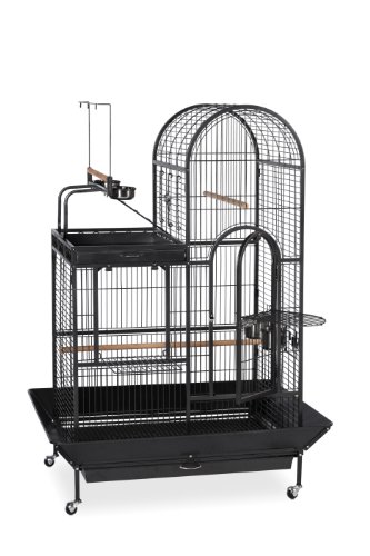 Prevue Pet Products BPV3159 Double Roof Bird Cage with Playtop, 36-1/2 by 27-1/4-Inch, Black