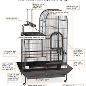 Prevue Pet Products BPV3159 Double Roof Bird Cage with Playtop, 36-1/2 by 27-1/4-Inch, Black