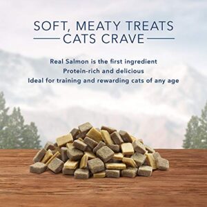 Blue Buffalo Wilderness Grain Free Soft-Moist Cat Treats, Chicken & Salmon 2-oz Bag