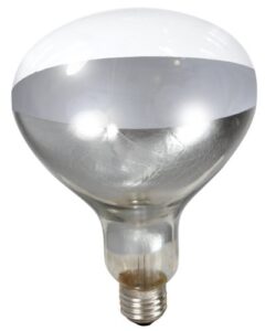 little giant® bulb for brooder lamp | heat lamp | 6000 hour life | 250 watt | clear bulb