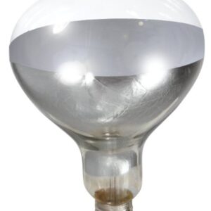 Little Giant® Bulb for Brooder Lamp | Heat Lamp | 6000 Hour Life | 250 Watt | Clear Bulb