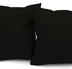 Deluxe Comfort Microsuede Throw Pillows, 16" by 16", Black 2 Count