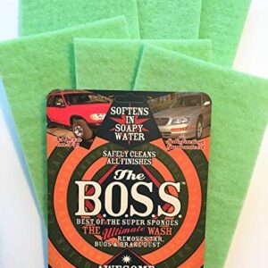 Bug Removing Boss Sponge, Easy Reach Kit - UPGRADED Version