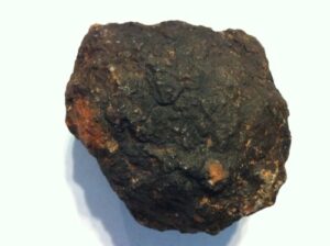 genuine fossil coprolite - fossilized dino "poop" -5"-7"