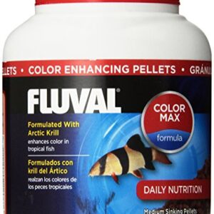 Fluval Color Enhancing Pellets Fish Food, 5.29-Ounce, 150gm