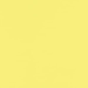 LUXPaper 8.5" x 11" Paper | Letter Size | Pastel Canary Yellow | 60lb. Text | 50 Qty