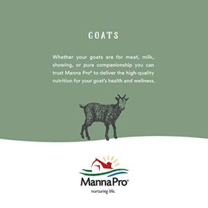 Manna Pro Corona Detangler & Shine Conditioner for Horse, 32 oz