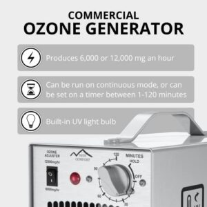 Stainless Steel Commercial Ozone Generator UV Air Purifier 12000 mg/hr Industrial