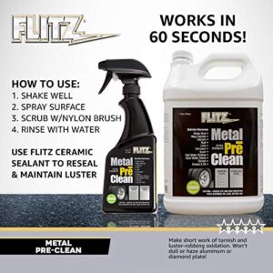 Flitz AL 01706-3A Metal PreClean 16oz, 3-Pack