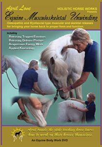 holistic horseworks “level 1: equine musculoskeletal unwinding” dvd course - certified horse massage therapy technique - earn a certificate of completion - for novice and pro horse lovers