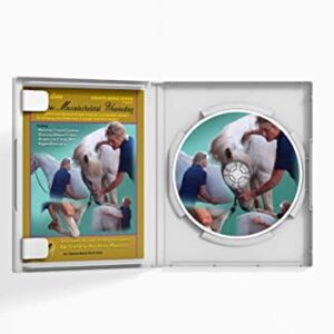 Holistic Horseworks “Level 1: Equine Musculoskeletal Unwinding” DVD Course - Certified Horse Massage Therapy Technique - Earn a Certificate of Completion - For Novice and Pro Horse Lovers