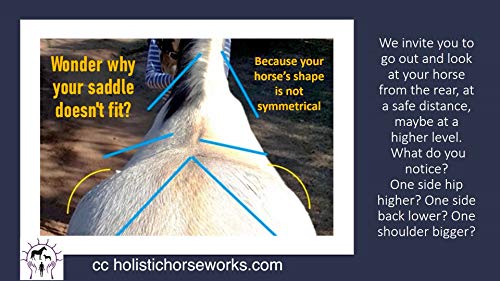 Holistic Horseworks “Level 1: Equine Musculoskeletal Unwinding” DVD Course - Certified Horse Massage Therapy Technique - Earn a Certificate of Completion - For Novice and Pro Horse Lovers