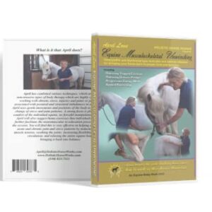 Holistic Horseworks “Level 1: Equine Musculoskeletal Unwinding” DVD Course - Certified Horse Massage Therapy Technique - Earn a Certificate of Completion - For Novice and Pro Horse Lovers