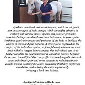 Holistic Horseworks “Level 1: Equine Musculoskeletal Unwinding” DVD Course - Certified Horse Massage Therapy Technique - Earn a Certificate of Completion - For Novice and Pro Horse Lovers