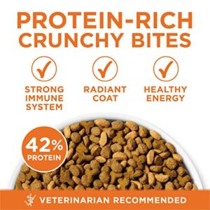 Purina ONE High Protein, Healthy Weight Dry Cat Food, +Plus Ideal Weight With Turkey - 16 lb. Bag